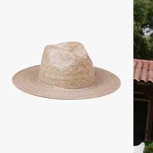 Palma fedora